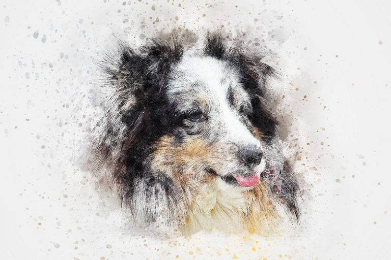 Dessiner Un Chien Un Facilement Et Rapidement Adulte Enfant Tuto